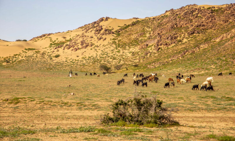 Národní park Gebel Elba